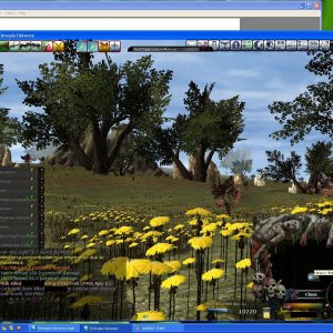 109.31 Ped Pvp4