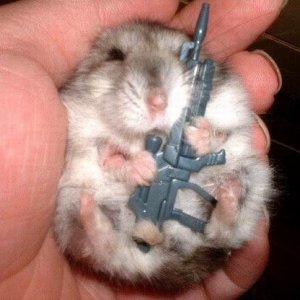 Hamster With Gun