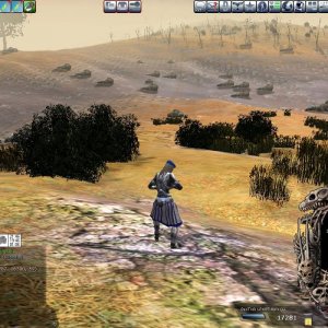 Allo Event 3