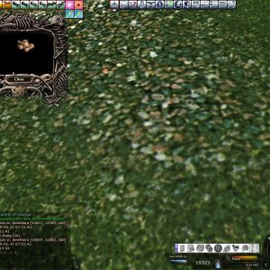 Dung