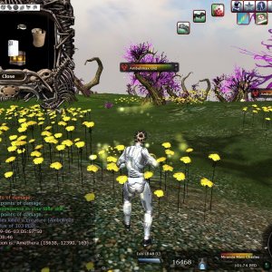 Ss4 67300