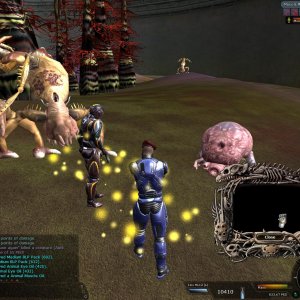 Maxx`s Run