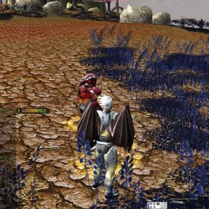 Screenshot 20090621170409015