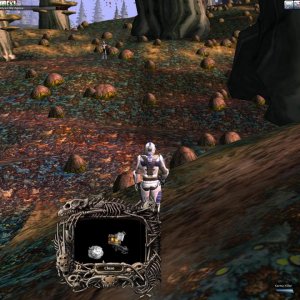 Wof Screenie Semi Final