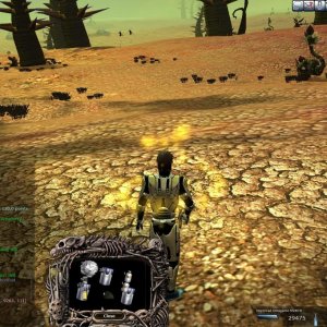 Entropia 2009-07-22 15-30-25-05