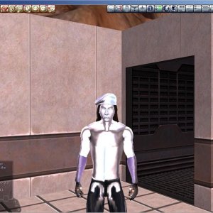 Ancient Autumn's Many Colors