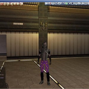 Ancient Autumn's Many Colors