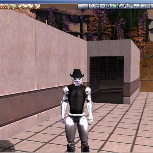 Ancient Autumn's Many Colors