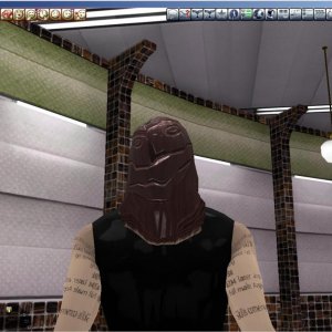 Ancient Autumn's Many Colors