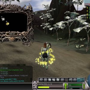 Global on molisk