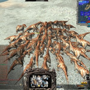 Atrax Beach Pf Skilling