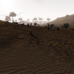 Wasteland