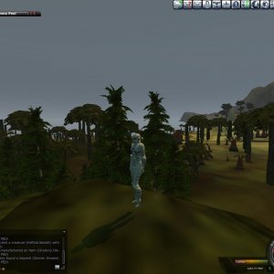 Tree Cimbing 1