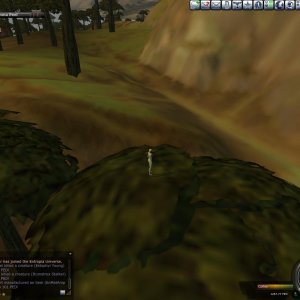 Tree Cimbing 2