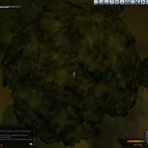 Tree Cimbing 4