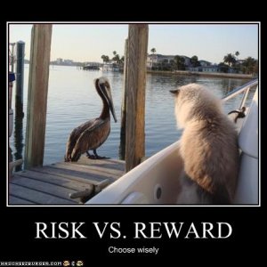 Risk Vs Reward