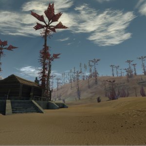 Ola 07 Atrax Beach 01