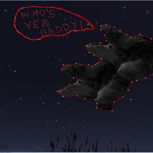 Makinus Baconus Constellation