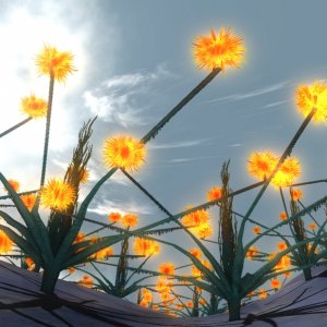 Yellow Thingies West Of Zeus