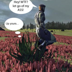 Wtfcactus