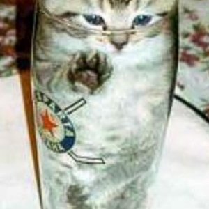 Cat In Da Jar