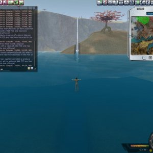 Chasm - Bug?