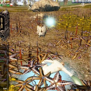 Entropia 2009-11-15 18-54-15-11