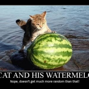Watermelon