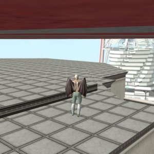 Entropia 2009-08-07 21-47-42-34