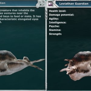 Leviathan3