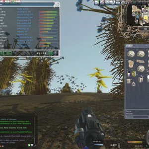 Commando