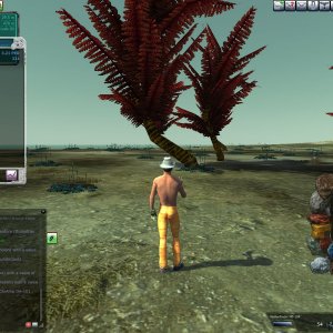 2 174562