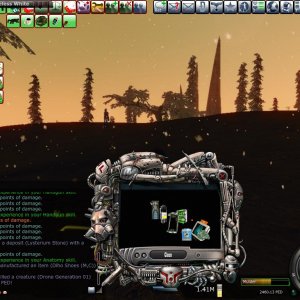 Entropia 2010-01-09 13-17-10-24