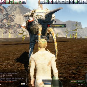 Event Calypso Challenge 2