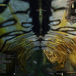 Loot Inside An Ambu