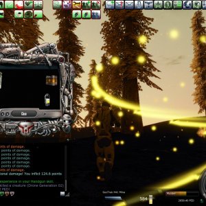 Entropia 2010-01-29 08-23-50-75