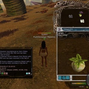 Stuff From The Fields