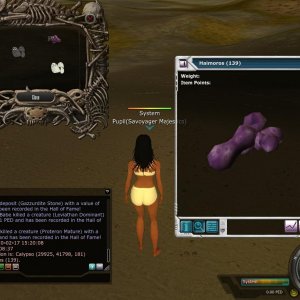 Stuff From The Fields