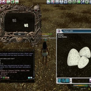 Stuff From The Fields