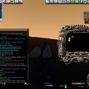 Entropia 2010-02-23 17-25-11-15