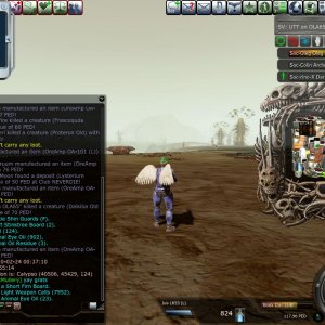 Entropia 2010-02-23 19-39-15-07 93752