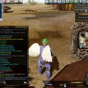 Entropia 2010-02-23 19-49-56-51