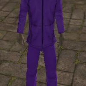 purple ninja