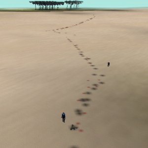 Trail
