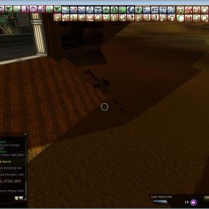 Bug