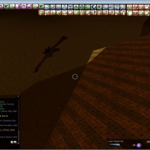 Bug