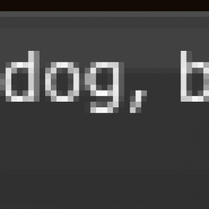 Dog