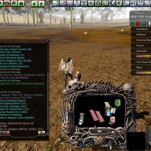 Wof Team Usa Support 2 Scar