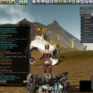 Wof Team Usa Support 2 Scar