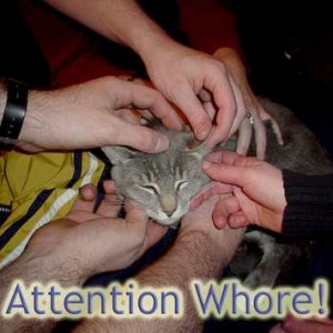 Attention Whore